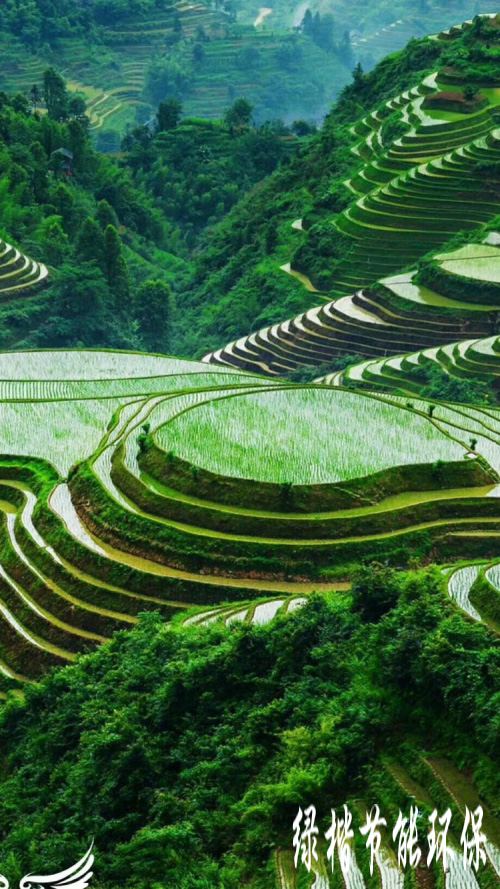 生態(tài)和環(huán)境規(guī)劃、可行性研究報(bào)告