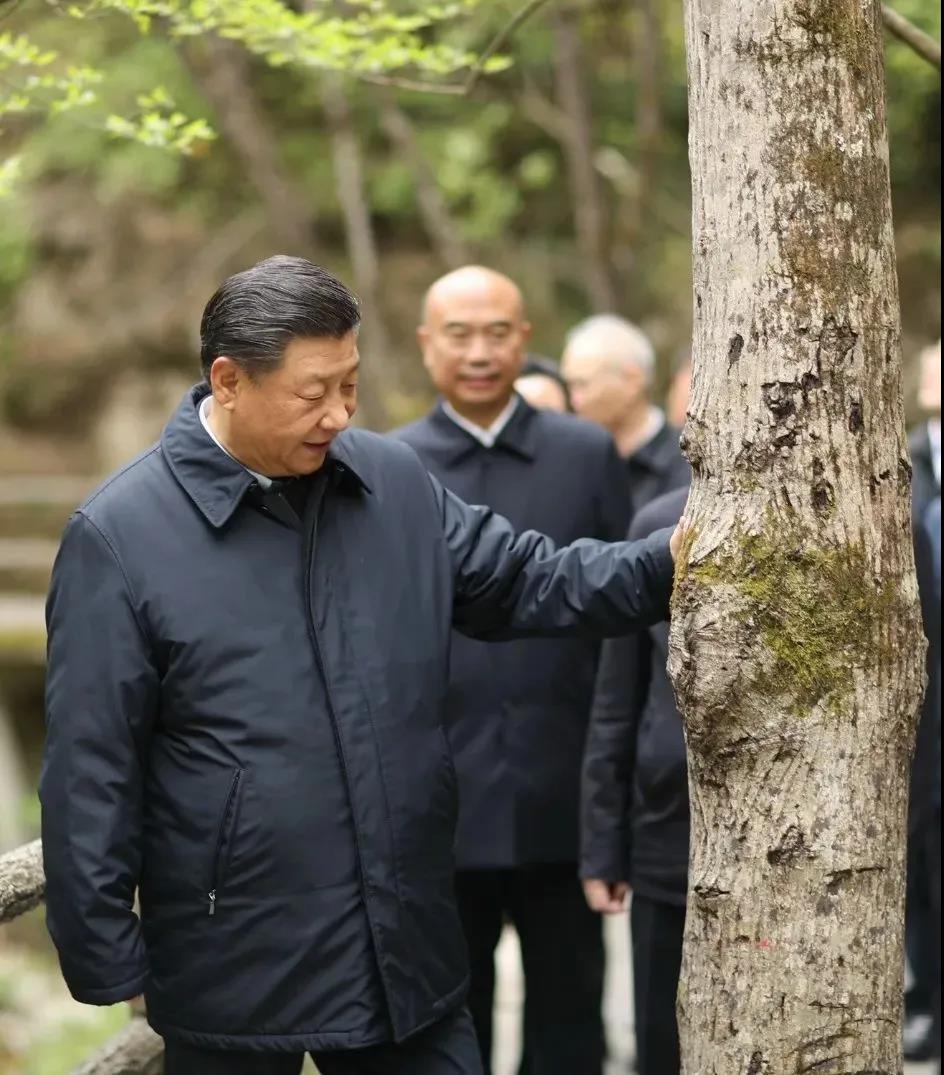 湖南綠楷節(jié)能環(huán)?？萍加邢薰?湖南土壤污染修復(fù),污水處理工程,農(nóng)業(yè)污染治理,環(huán)保工程