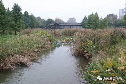 湖南綠楷節(jié)能環(huán)?？萍加邢薰?湖南土壤污染修復(fù),污水處理工程,農(nóng)業(yè)污染治理,環(huán)保工程